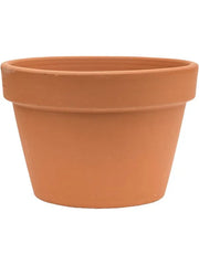Terra Cotta Plant Pot 20cm Height 26cm Dia Flowerpot