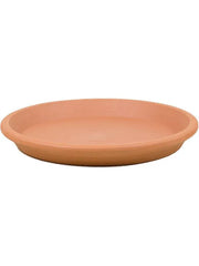 Terra Cotta Plant Pot 43cm Dia Saucer