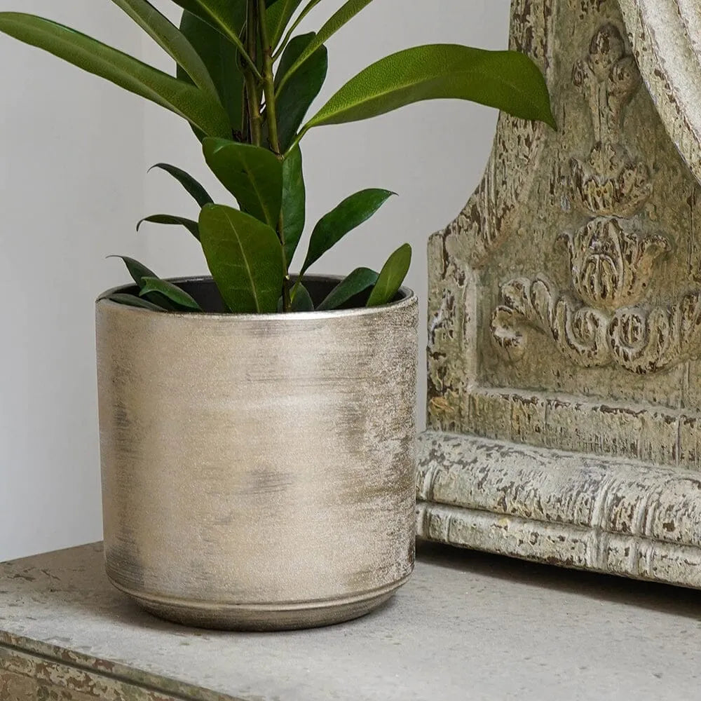 Tivoli Gold Indoor Ceramic 17cm Pots