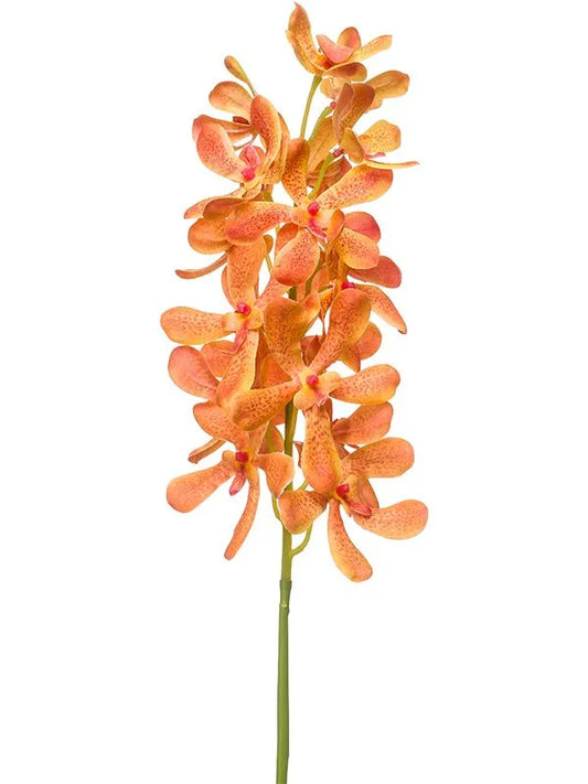 Vanda Artificial Plant Premium Faux 80cm Height