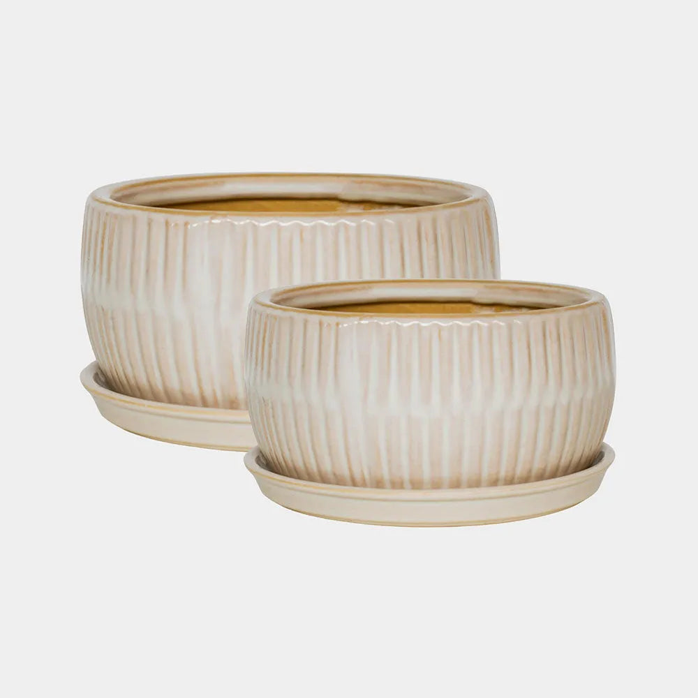 White Round Bonsai Planter Set of 2