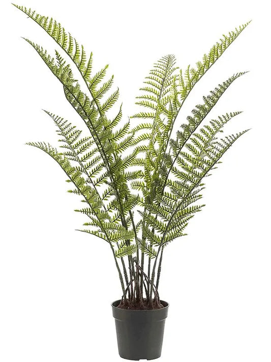 Woodwardia Fern Artificial Plant Premium Faux 90cm Height