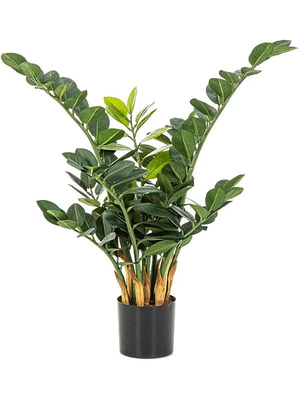 Zamioculcas Zamiifolia ZZ Artificial Plant Premium Faux 66cm Height