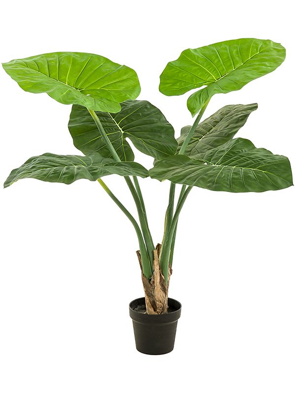 Alocasia Artificial Plant Premium Faux 90cm Height Artificial Plants