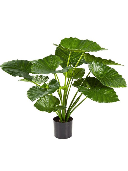 Alocasia Calidora Artificial Plant Premium Faux 75cm Height Artificial Plants