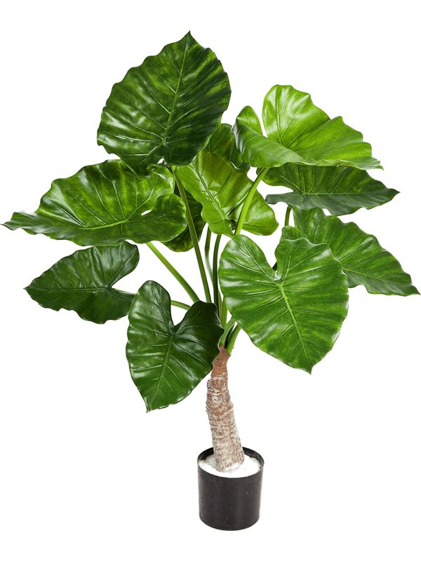 Alocasia Calidora Artificial Plant Premium Faux 80cm Height Artificial Plants