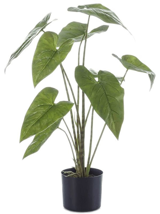 Alocasia Zebrina Artificial Plant Premium Faux 75cm Height Artificial Plants