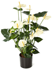 Anthurium Artificial Plant Premium Faux 78cm Height Artificial Plants