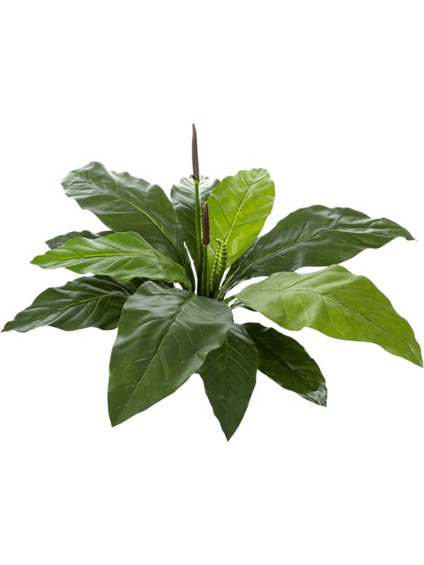 Anthurium Jungle King Artificial Plant Premium Faux 84cm Height Artificial Plants