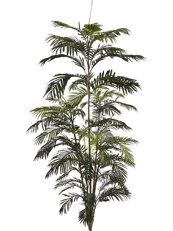 Areca Artificial Plant Premium Faux 210cm Height Artificial Plants