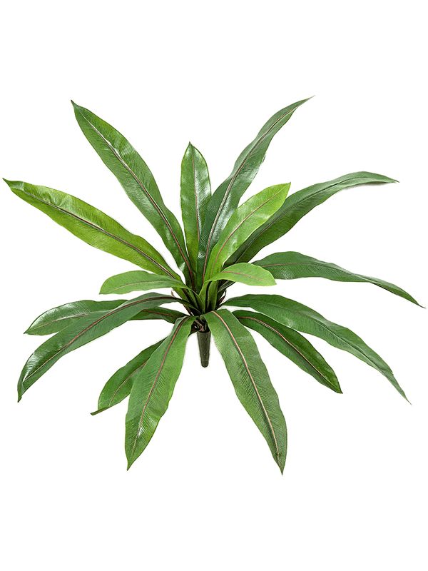 Asplenium Fern Artificial Plant Premium Faux 40cm Height Artificial Plants