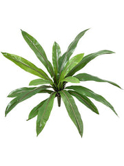 Asplenium Fern Artificial Plant Premium Faux 40cm Height Artificial Plants