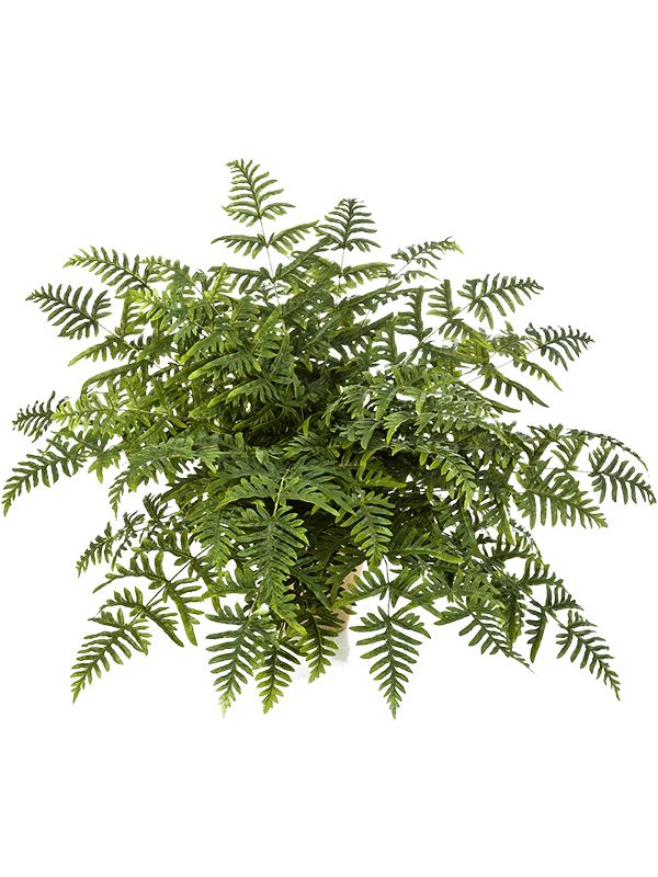 Athyrium Artificial Plant Premium Faux 90cm Height Artificial Plants