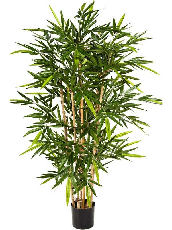 Bamboo Artificial Plant Premium Faux 150cm Height Artificial Plants