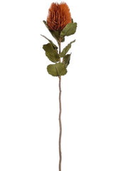 Banksia Artificial Plant Premium Faux 59cm Height Artificial Plants