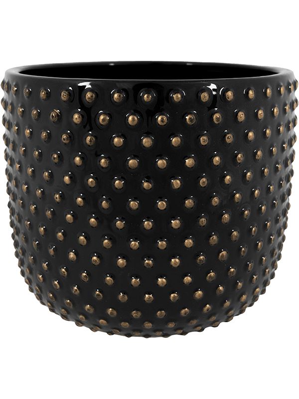 Bolino Plant Pot 17cm Height 17cm Dia Pot Shiny Black