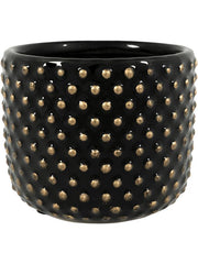 Bolino Plant Pot 8cm Height 6cm Dia Pot Shiny Black