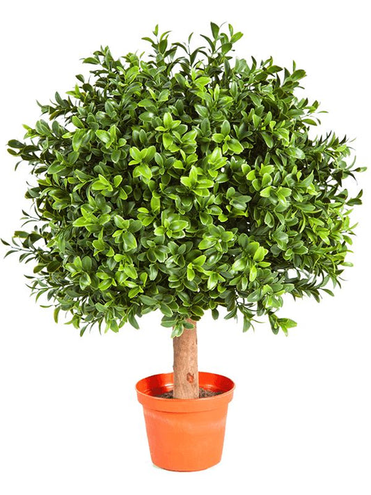 Boxwood Artificial Plant Premium Faux 45cm Height Artificial Plants