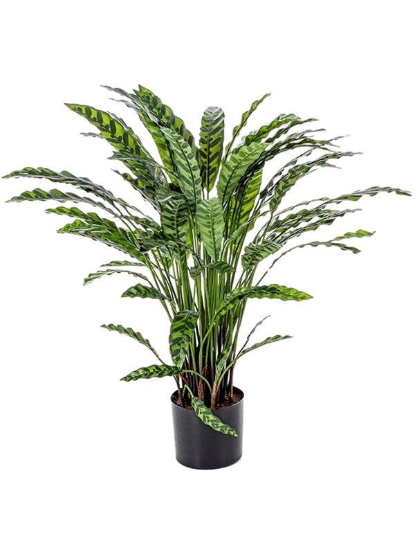 Calathea Artificial Plant Premium Faux 84cm Height Artificial Plants