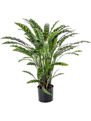 Calathea Artificial Plant Premium Faux 84cm Height Artificial Plants