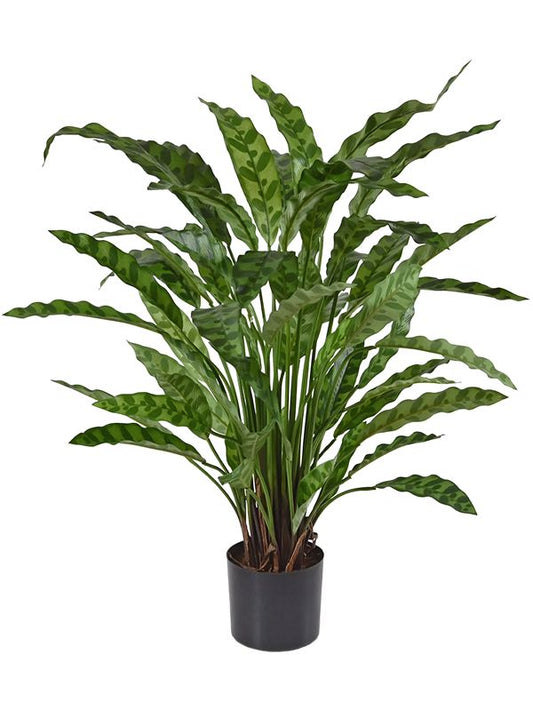 Calathea Leopardina Artificial Plant Premium Faux 60cm Height Artificial Plants