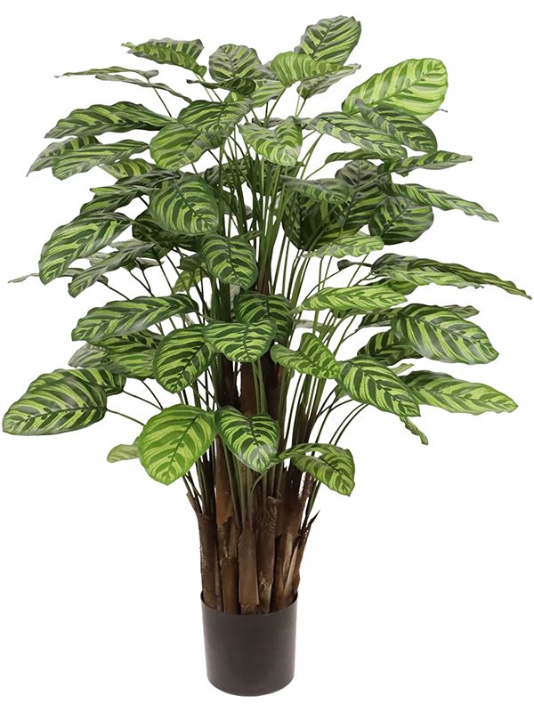 Calathea Makoyana Artificial Plant Premium Faux 115cm Height Artificial Plants