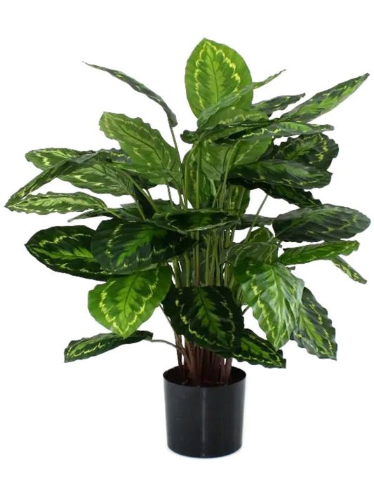 Calathea Rosea Picta Artificial Plant Premium Faux 85cm Height Artificial Plants