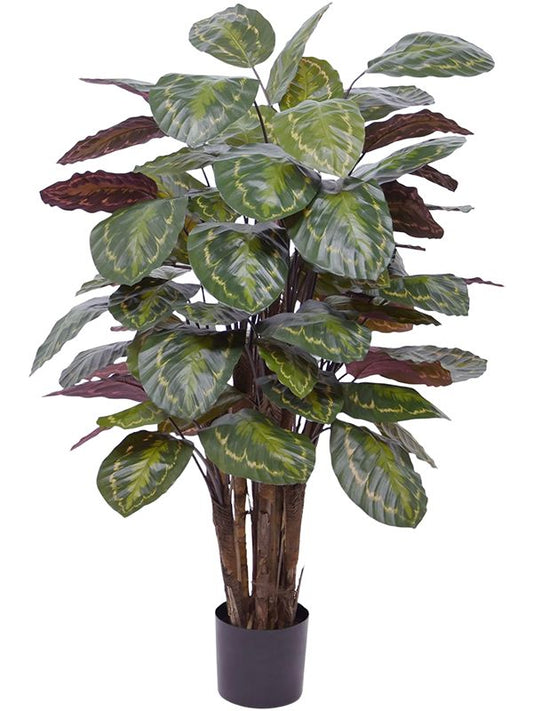Calathea Roseopicta Artificial Plant Premium Faux 120cm Height Artificial Plants