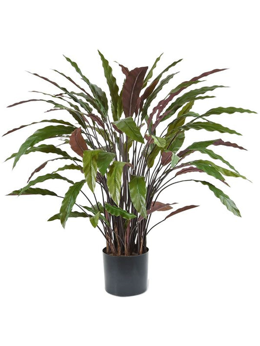 Calathea Rufibarba Blue Grass Artificial Plant Premium Faux 85cm Height Artificial Plants