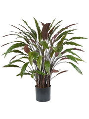 Calathea Rufibarba Blue Grass Artificial Plant Premium Faux 85cm Height Artificial Plants