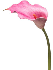 Calla Lily Artificial Plant Premium Faux 83cm Height Artificial Plants