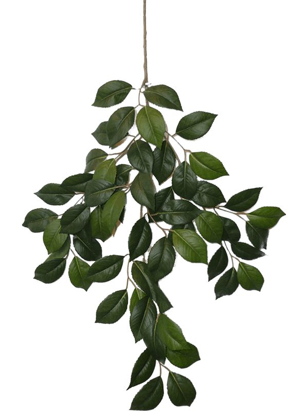 Camelia Artificial Plant Premium Faux 55cm Height Artificial Plants