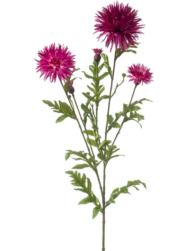 Centaurea Artificial Plant Premium Faux 100cm Height Artificial Plants