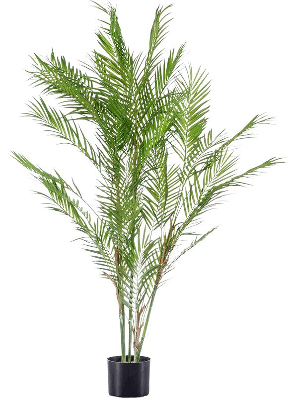 Chamaedorea Artificial Plant Premium Faux 120cm Height Artificial Plants