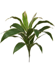 Cordyline Artificial Plant Premium Faux 62cm Height Artificial Plants