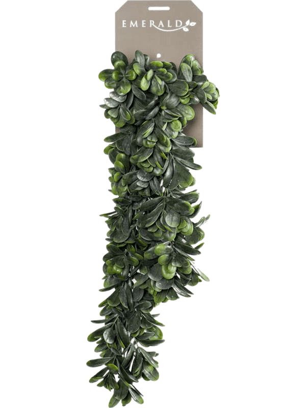 Crassula Artificial Plant Premium Faux 80cm Height Artificial Plants