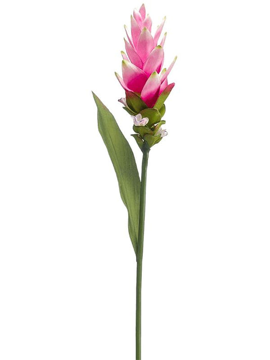 Curcuma Artificial Plant Premium Faux 80cm Height Artificial Plants
