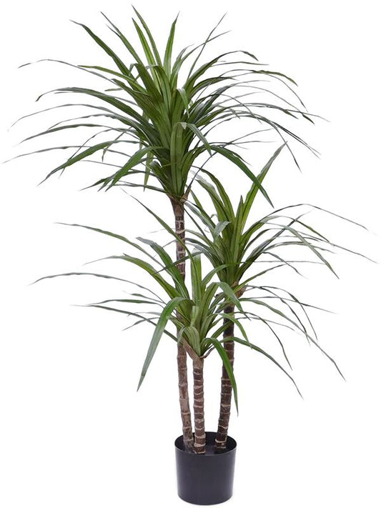 Dracaena Marginata Artificial Plant Premium Faux 100cm Height Artificial Plants
