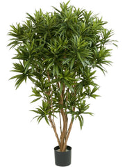 Dracaena Reflexa Jamaica Artificial Plant Premium Faux 150cm Height Artificial Plants
