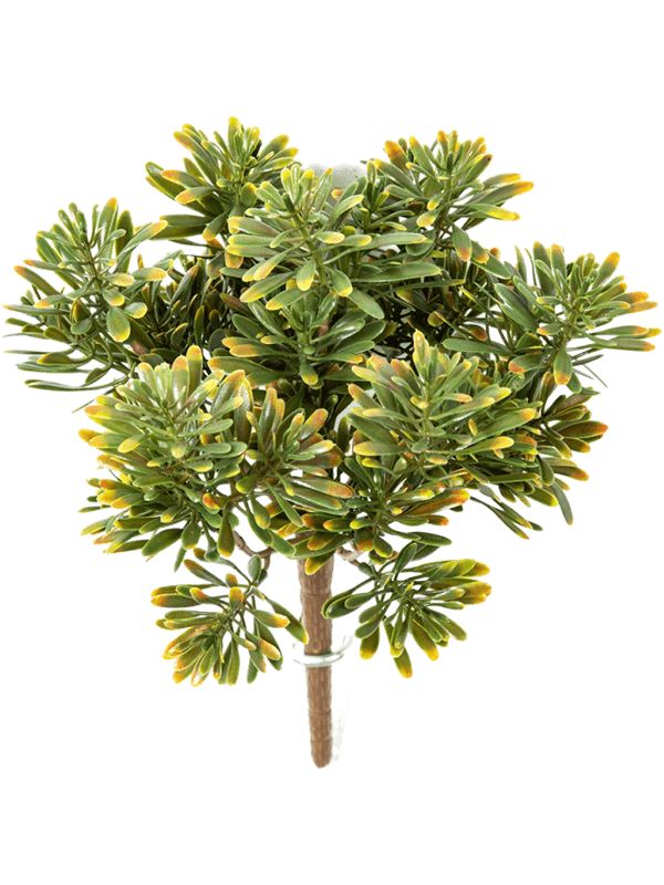 Dusty Miller Artificial Plant Premium Faux 18cm Height Artificial Plants