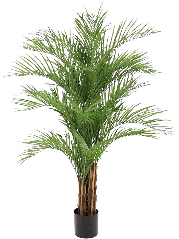 Dypsis Lutescens Artificial Plant Premium Faux 210cm Height Artificial Plants
