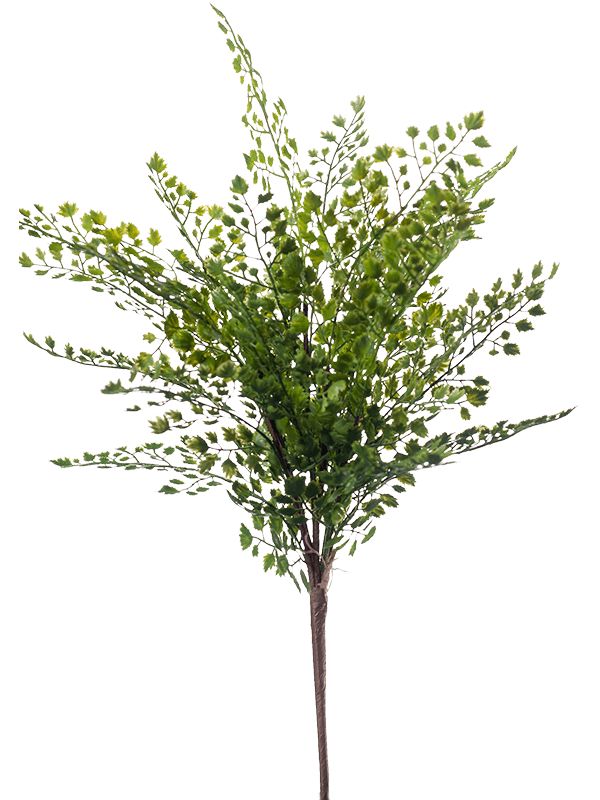 Fern Adianthum Artificial Plant Premium Faux 40cm Height Artificial Plants