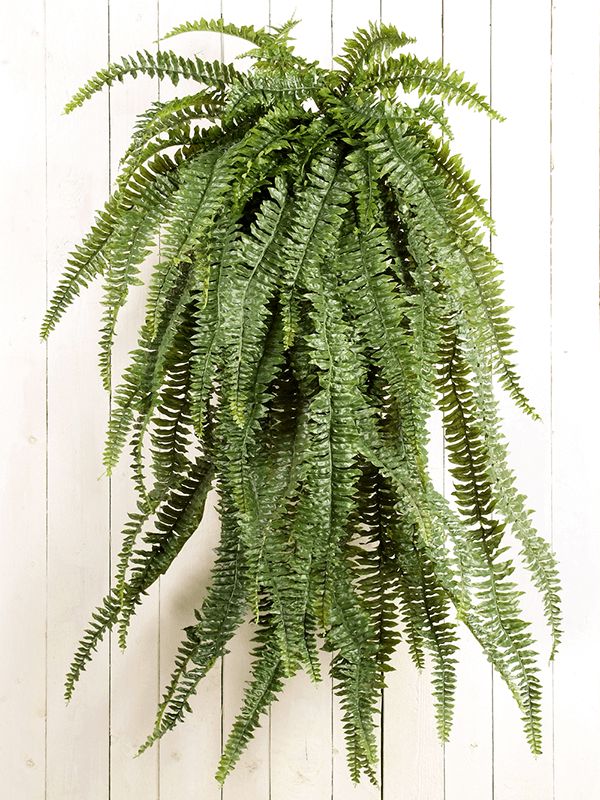 Fern Artificial Plant Premium Faux 150cm Height Artificial Plants