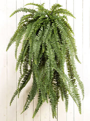 Fern Artificial Plant Premium Faux 150cm Height Artificial Plants
