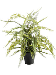 Fern Boston Artificial Plant Premium Faux 70cm Height Artificial Plants