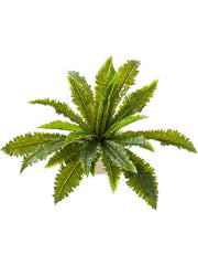 Fern Margarintum Artificial Plant Premium Faux 70cm Height Artificial Plants