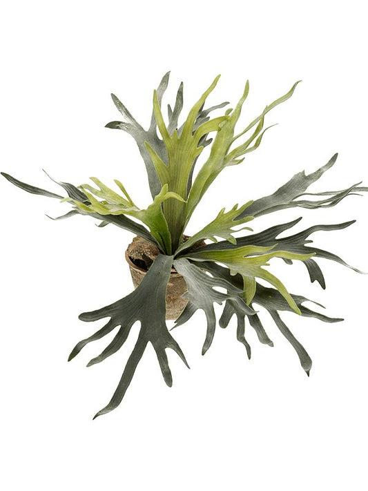 Fern Staghorn Artificial Plant Premium Faux 75cm Height Artificial Plants