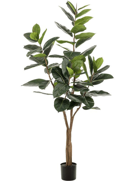 Ficus Elastica Artificial Plant Premium Faux 180cm Height Artificial Plants