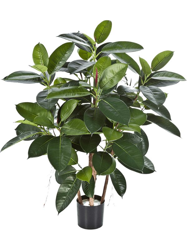 Ficus Elastica Artificial Plant Premium Faux 90cm Height Artificial Plants