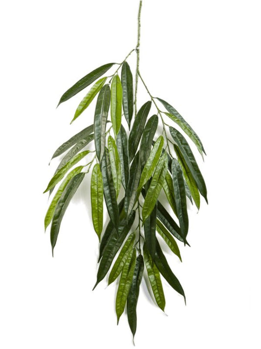 Ficus Longifolia Artificial Plant Premium Faux 68cm Height Artificial Plants